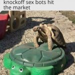 Trans Turtles | image tagged in trans turtles | made w/ Imgflip meme maker