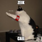 Nazi salute cat | ZEIK; CAIL | image tagged in nazi salute cat | made w/ Imgflip meme maker