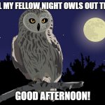 At the end of the day, we come out and play | TO ALL MY FELLOW NIGHT OWLS OUT THERE... GOOD AFTERNOON! | image tagged in night owl | made w/ Imgflip meme maker