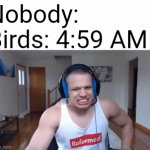 Birds be like | Nobody:; Birds: 5:00 AM; Birds: 4:59 AM | image tagged in gifs,memes,birds,morning | made w/ Imgflip video-to-gif maker
