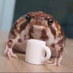 frog with coffee