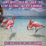 Daily Bad Dad Joke June 16, 2023 | MY WIFE TOLD ME I HAD TO STOP ACTING LIKE A FLAMINGO..... SO I HAD TO PUT MY FOOT DOWN. | image tagged in flamingo | made w/ Imgflip meme maker