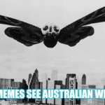 Mothra's day | HOW MEMES SEE AUSTRALIAN WILDLIFE | image tagged in mothra's day | made w/ Imgflip meme maker