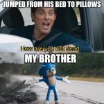 Sonic I have no idea | 5 YE OLD ME WHEN MY BROTHER JUMPED FROM HIS BED TO PILLOWS; MY BROTHER | image tagged in sonic i have no idea | made w/ Imgflip meme maker