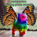 Rainbow unicorn butterfly kitten | companies during pride month | image tagged in rainbow unicorn butterfly kitten | made w/ Imgflip meme maker