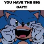 sonic you have the big gay