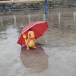 pokemon charmander in the rain