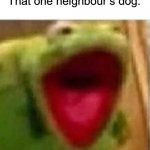 One reason why I don’t have a dog | Me: *is trying to get to sleep*
That one neighbour’s dog: | image tagged in ahhhhhhhhhhhhh,memes,funny,relatable,kermit,kermit the frog | made w/ Imgflip meme maker