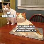 Cat vs Cake | AIR CONDITIONER; A BOX FAN BLOWING ON A BOWL OF ICE GETTING 6 MILLION VIEWS ON TIK TOK | image tagged in cat cake | made w/ Imgflip meme maker