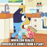 yep it does | WHEN YOU REALIZE CHOCOLATE COMES FROM A PLANT | image tagged in gifs,realization | made w/ Imgflip video-to-gif maker