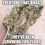 Expert weed grower | EVERYONE THAT BRAGS; THEY'VE BEEN GROWING FOR YEARS | image tagged in your weed | made w/ Imgflip meme maker