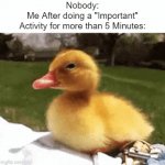 I am demotivated now... | Nobody:
Me After doing a "Important"
Activity for more than 5 Minutes: | image tagged in gifs,memes,funny,ducks,relatable memes,demotivationals | made w/ Imgflip video-to-gif maker