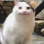 i hate when that happens | MY CAT AS SOON AS I OPEN THE BATHROOM DOOR WATCHING ME SHIT | image tagged in beluga cat sus | made w/ Imgflip meme maker