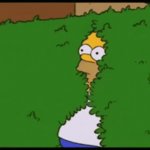 Homer disappears into Bush GIF Template