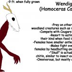 The Cryptic Bestiary Wendigo