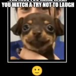 True tho | THE FACE YOU MAKE WHEN YOU WATCH A TRY NOT TO LAUGH | image tagged in happiest pupper ever | made w/ Imgflip meme maker