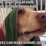 Remi the dog is old so please appreciate this | Oh, towel dog of truth, what wisdom do you hold; Trees can make friends and talk | image tagged in towel dog of truth | made w/ Imgflip meme maker