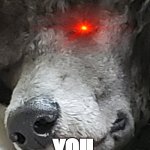 ...but it's 1pm | HOW DARE YOU WAKE ME FROM MY SLUMBER; YOU SHALL PAY!!! | image tagged in menacing doggo sideye | made w/ Imgflip meme maker