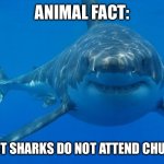 I’m right | ANIMAL FACT:; MOST SHARKS DO NOT ATTEND CHURCH | image tagged in straight white shark | made w/ Imgflip meme maker