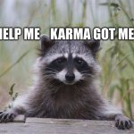 Racoon face | HELP ME    KARMA GOT ME | image tagged in racoon face | made w/ Imgflip meme maker