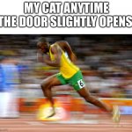 Usain Bolt | MY CAT ANYTIME THE DOOR SLIGHTLY OPENS | image tagged in usain bolt,cats,doors,funny,laugh,running | made w/ Imgflip meme maker