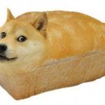 bred doge template