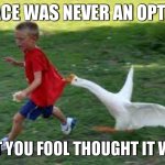 Peace was never an option and it still now ! | PEACE WAS NEVER AN OPTION; BUT YOU FOOL THOUGHT IT WAS | image tagged in honk,peace was never an option,goose,fool,animal attack | made w/ Imgflip meme maker