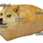 doge bred | much loaf; such moist; wow; very dough; wow | image tagged in bred doge,doge | made w/ Imgflip meme maker