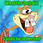 Sandy Cheeks Duhh | What the hell did; Sandy do to herself | image tagged in sandy cheeks duhh | made w/ Imgflip meme maker