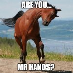 Horse | ARE YOU... MR HANDS? | image tagged in horse | made w/ Imgflip meme maker