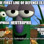 VCE MEMES #10 | WHEN THE FIRST LINE OF DEFENCE IS BROKEN; MACROPHAGE; NEUTROPHIL; DENDRITIC
CELLS | image tagged in allow us to introduce ourselves | made w/ Imgflip meme maker