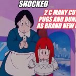 suno and mommy dragon ball series | SHOCKED; 2 C MANY CUTE PUGS AND BUNNIES AS BRAND NEW PETS | image tagged in suno and mommy dragon ball series | made w/ Imgflip meme maker