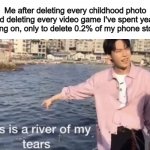DDDX | Me after deleting every childhood photo and deleting every video game I've spent years grinding on, only to delete 0.2% of my phone storage: | image tagged in this is a river of my tears | made w/ Imgflip meme maker