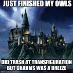 Newts are gonna be so hard man | JUST FINISHED MY OWLS; DID TRASH AT TRANSFIGURATION BUT CHARMS WAS A BREEZE | image tagged in hogwarts,memes,funny memes,relatable,funny,oh wow are you actually reading these tags | made w/ Imgflip meme maker
