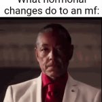 Pretty sure everyone here who isn't an underaged user could relate | What hormonal changes do to an mf: | image tagged in gifs,gus fring,breaking bad,low effort meme | made w/ Imgflip video-to-gif maker