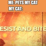 cat be like | ME: PETS MY CAT; MY CAT: | image tagged in resist and bite,sabaton,cats,cat | made w/ Imgflip meme maker