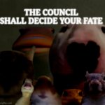 THE COUNCIL SHALL DECIDE YOUR FATE