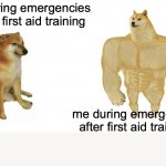 Swole Doge vs. Cheems flipped | me during emergencies before first aid training; me during emergencies after first aid training | image tagged in swole doge vs cheems flipped | made w/ Imgflip meme maker