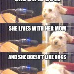 Nah, the Dogs Ain't having that | SHE'S A 10 BUT... SHE LIVES WITH HER MOM; AND SHE DOESN'T LIKE DOGS | image tagged in dogcast | made w/ Imgflip meme maker