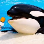 Orca mic