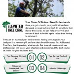 Pittsburgh Lumberjack Tree Service