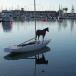 Horse on a boat