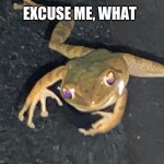Original meme and image | EXCUSE ME, WHAT | image tagged in excuse me what frog | made w/ Imgflip meme maker