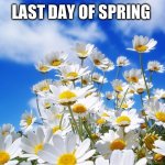 Last day of spring | LAST DAY OF SPRING | image tagged in spring daisy flowers | made w/ Imgflip meme maker