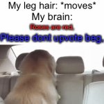 AAH WHAT WAS THAT? | My leg hair: *moves*; My brain:; Roses are red, Please dont upvote beg, There’s a spider; On your leg | image tagged in gifs,memes,funny,rhymes,spider,brain | made w/ Imgflip video-to-gif maker