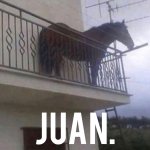 Juan Orginal