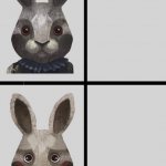 Shocked rabbit template