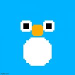Icy buddy the penguin | image tagged in icy buddy,noot noot,penguin,birb,bird,birds | made w/ Imgflip meme maker