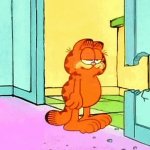Garfield drywall gif GIF Template