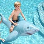 Kid on shark in pool
